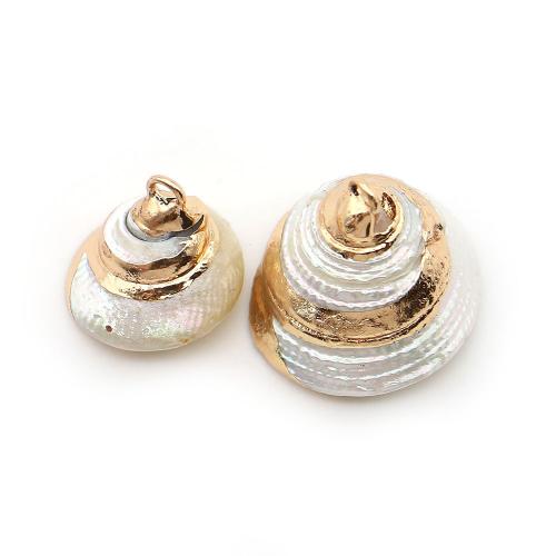 Shell Privjesci, Školjka, s Mesing, Ljuštura, pozlaćen, možete DIY, više boja za izbor, 15x16mm-23x25mm, Prodano By PC