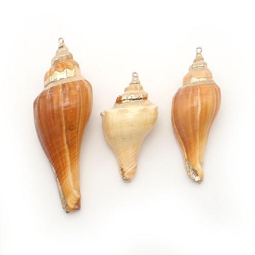 Colgantes de Nácar, con metal, Concha, chapado, Bricolaje, más colores para la opción, 22x61mm-33x94mm, Vendido por UD