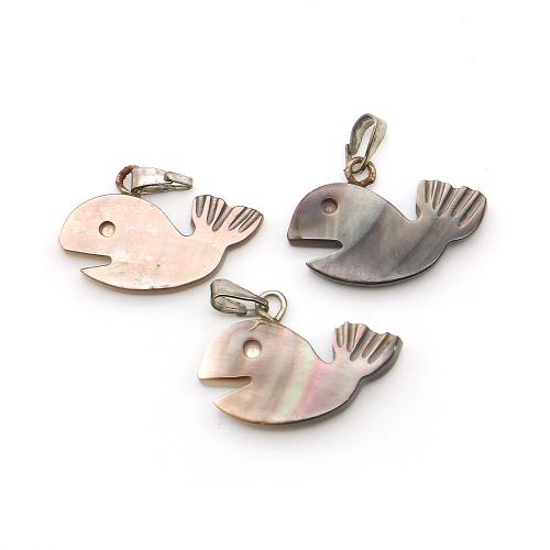 Ciondoli di conchiglia, conchiglia marina, with corda di cera & ferro, balena, DIY, nessuno, 15x21mm, Venduto da PC