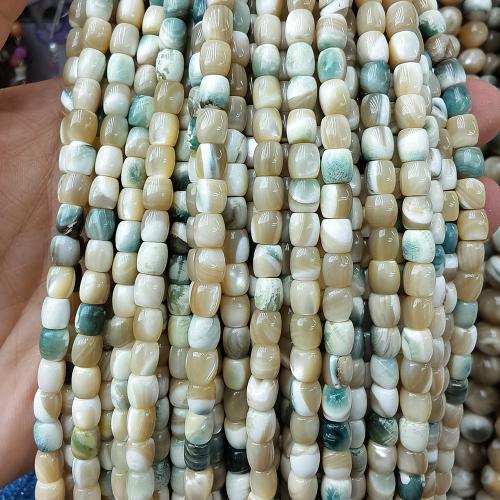 Naturliga sötvattensSnäckskalsPärlor, Shell, DIY, blandade färger, 5x6mm, 67PC/Strand, Såld Per 38 cm Strand