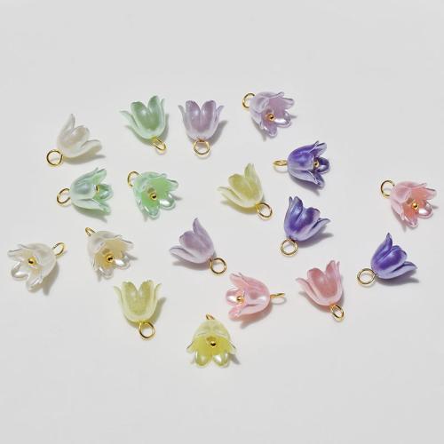 Akryl Häng, med 304 rostfritt stål, guldfärg pläterade, DIY, fler färger för val, Hål:Ca 2mm, 100PC/Bag, Säljs av Bag