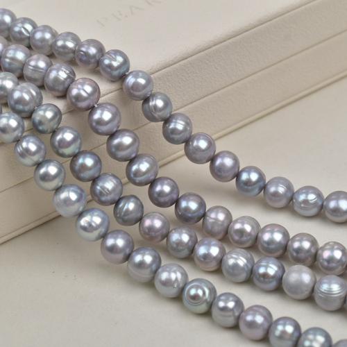 Přírodní sladkovodní perly perlí, Sladkovodní Pearl, Mírně kulaté, DIY, šedá, 8-10mm, Prodáno za 36 cm Strand