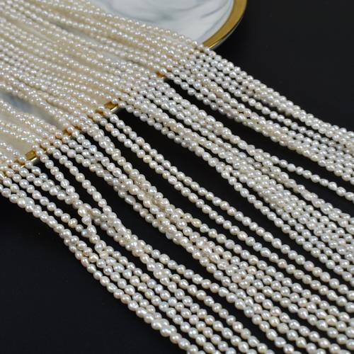 Rýže kultivované sladkovodní perle, Sladkovodní Pearl, Nepravidelné, DIY, bílý, 3-3.5mm, Prodáno za 39 cm Strand