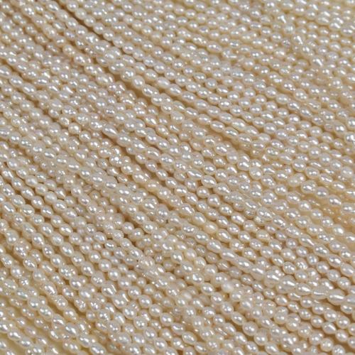 Rýže kultivované sladkovodní perle, Sladkovodní Pearl, Nepravidelné, DIY, bílý, 3-4mm, Prodáno za 39 cm Strand