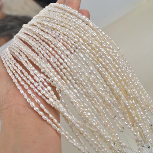 Rýže kultivované sladkovodní perle, Sladkovodní Pearl, DIY, bílý, 3-4mm, Prodáno za 38 cm Strand