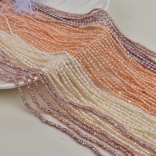 Rýže kultivované sladkovodní perle, Sladkovodní Pearl, DIY, více barev na výběr, 2-3mm, Prodáno za 36 cm Strand