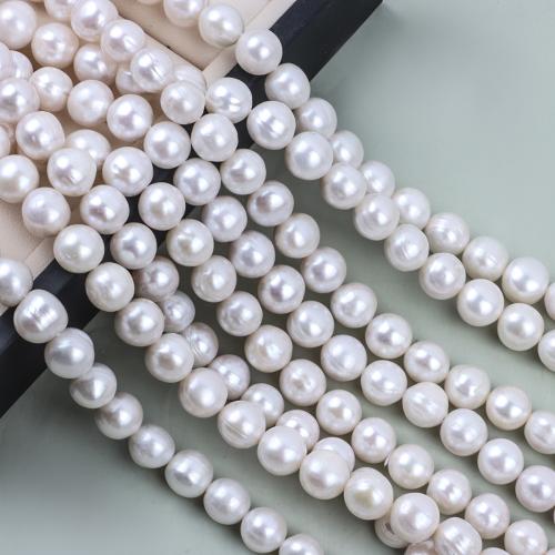 Luonnon makeanveden löysä helmiä, Makeanveden helmen, Pyöreä, tee-se-itse, valkoinen, 9-10mm, Pituus 39 cm, Myymät PC