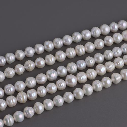 Natuurlijke zoetwater parel Losse Kralen, Schroef, DIY, wit, 10-11mm, Lengte 41 cm, Verkocht door PC