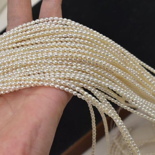 Cultured Rice Freshwater Pearl Beads with Cotton Thread & 304 Stainless Steel DIY white u7ea62.5mm Sold Per 38 cm Strand