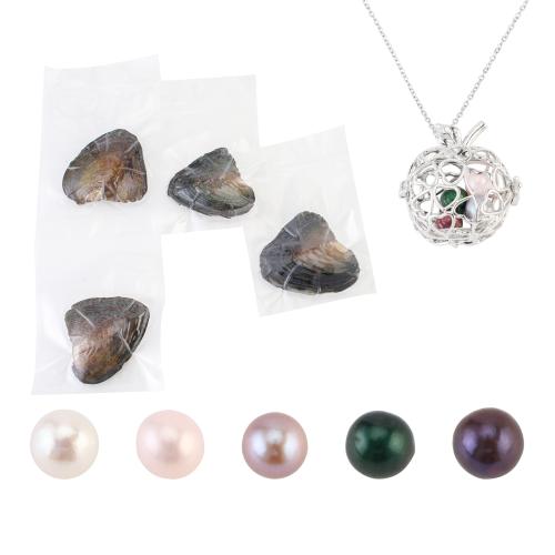 Mollusco collana, with ciondolo in lega di zinco, with 5cm extender chain, per la donna & cavo, nessuno, pendant size 18-25mm, Lunghezza Appross. 40 cm, Venduto da set