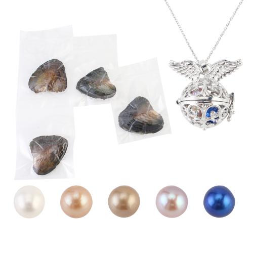 Clam Necklace with 304 Stainless Steel Chain & zinc alloy pendant with 5cm extender chain for woman & hollow pendant size 18-25mm Length Approx 40 cm Sold By Set