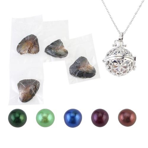 Clam Necklace with 304 Stainless Steel Chain & zinc alloy pendant with 5cm extender chain for woman & hollow pendant size 18-25mm Length Approx 40 cm Sold By Set