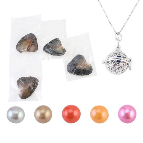 Molusco colar, with pingente de liga de zinco, with 5cm extender chain, para mulher & vazio, Mais cores pare escolha, pendant size 18-25mm, comprimento Aprox 40 cm, vendido por Defina