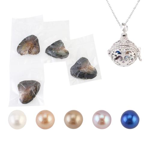 Małż Naszyjnik, ze wisiorek ze stopów cynku, ze 5cm przedłużeniami łańcuszka, dla kobiety & pusty, dostępnych więcej kolorów, pendant size 18-25mm, długość około 40 cm, sprzedane przez Ustaw