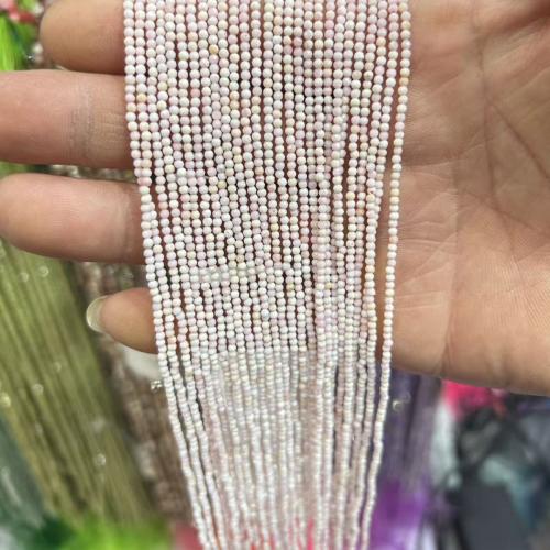 Натуральные пресноводные бусы оболочки, Queen Conch Shell, Круглая, полированный, DIY & разный размер для выбора & граненый, Продан через Приблизительно 38 см Strand