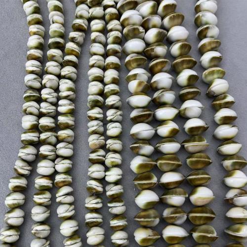 Naturlig Freshwater Shell Perler, du kan DIY & forskellig størrelse for valg, Solgt af Strand