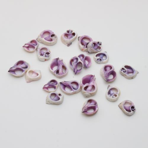 Shell Přívěsky, Skořápka, Ulita, DIY, nachový, pendant size 14-21mm, Prodáno By PC