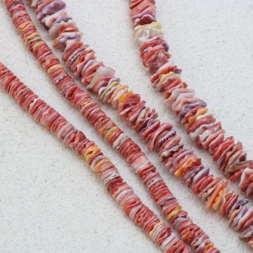 Naturliga sötvattensSnäckskalsPärlor, Shell, Oregelbunden, DIY & olika storlek för val, Såld Per Ca 38 cm Strand