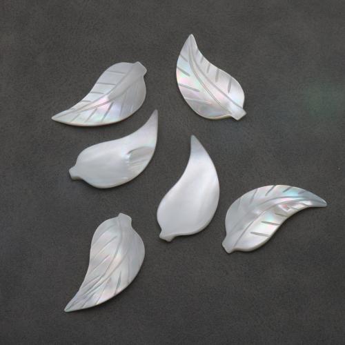 Gamtos Baltoji Shell karoliukai, Balta "Shell, Lapas, Pasidaryk pats & ne skylė, 18x35mm, Pardavė PC