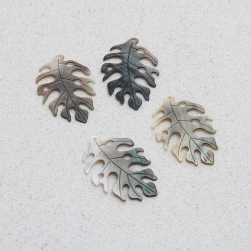 Shell Privjesci, Školjka, List, Izrezbaren, možete DIY, 23x34mm, Prodano By PC