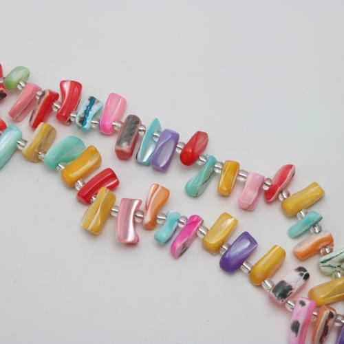自然色のシェル・ビーズ, ホースシュー+シェル, 不規則, DIY, 彩色, beads size 12-16mm, で販売される 約 38 センチ ストランド