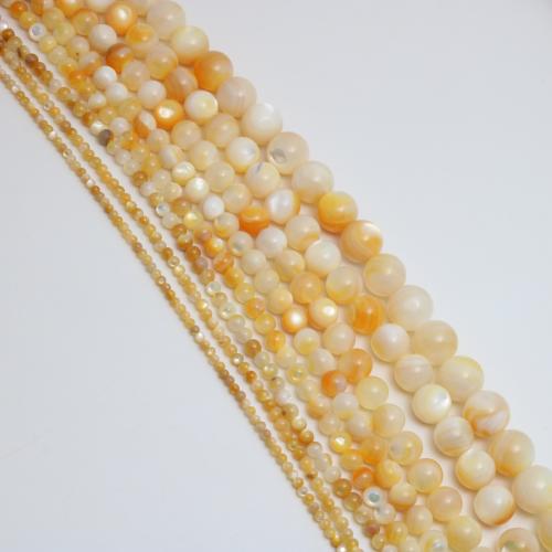 Grânulos natural  do escudo amarelo , Roda, polido, DIY & tamanho diferente para a escolha, vendido por Strand