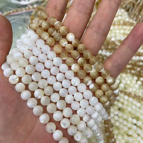 Natural Sea Shell Beads, Cerchio, DIY & formato differente per scelta, nessuno, Venduto da filo