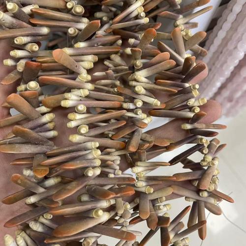 Natuurlijke schelp kralen, Trumpet Shell, DIY, meer kleuren voor de keuze, 6x25mm, Per verkocht Ca 38 cm Strand