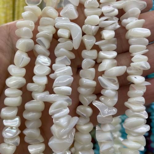 Conchiglia naturale d'acqua dolce, Dente, DIY, nessuno, beads size 8-10mm, Venduto per Appross. 38 cm filo