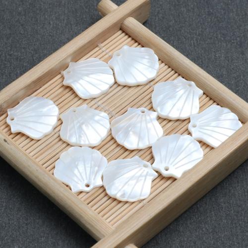 Ciondoli naturali di conchiglia bianca, bianco conchiglia, DIY, 16.90x16.70mm, Venduto da PC