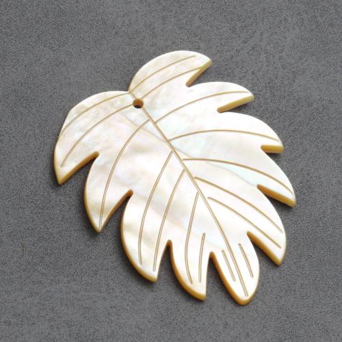 Ciondoli di conchiglia, Inciso, DIY, 35.40x44.10mm, Venduto da PC