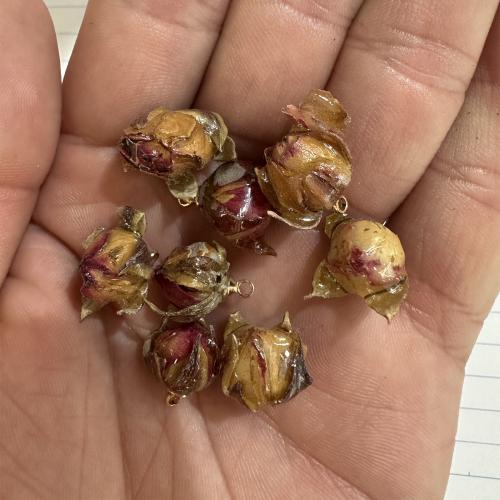 Tørret blomst Pendel, Flower, epoxy sticker, du kan DIY, pendant size 15*10mm-16*12mm, Solgt af PC