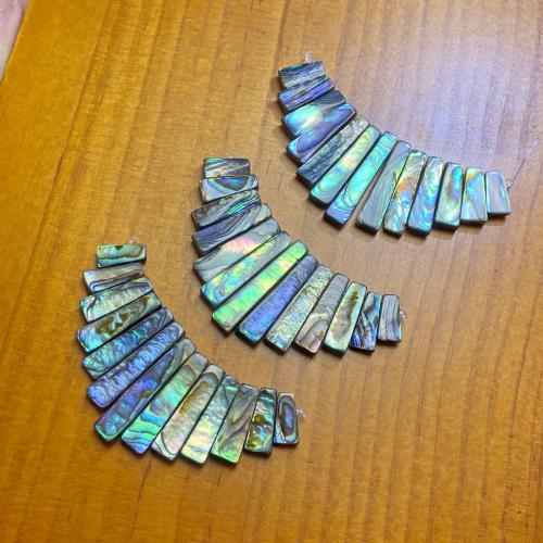 Természetes Abalone Shell Medálok, Téglalap, DIY & különböző méretű a választás, 13PC-k/Set, Által értékesített Set