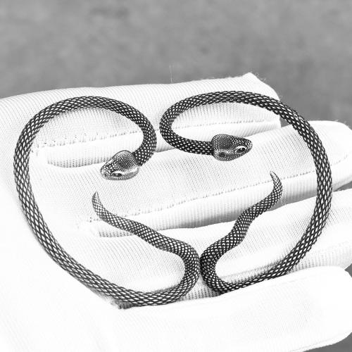 304 acciaio inox Orecchino avvolgente, Serpente, lucido, Vintage & unisex & stili diversi per la scelta, colore originale, earring size 30-60mm, Venduto da PC