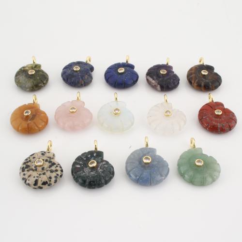 Gemstone Vedhæng Smykker, Ædelsten, Conch, du kan DIY & med rhinestone, flere farver til valg, 34x26x8mm, Solgt af PC