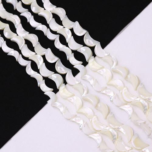 Natural Sea Shell Beads, Luna, DIY & formato differente per scelta, Venduto per Appross. 38 cm filo