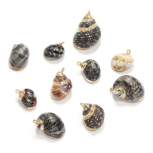 シェルペンダント, とともに 銅, 巻貝, ゴールドメッキ, DIY, ブラック, pendant size 12mmx24mm-16mmx31mm, 売り手 パソコン