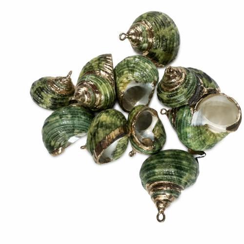 Shell Hangers, Schelp, met Zinc Alloy, Schelp, DIY, pendant size 22-32*20-26mm, Verkocht door PC