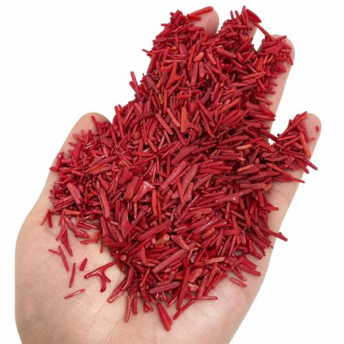 Grânulos corais naturais, Pepitas, aleatoriamente enviado & DIY & não porosa, 15mm, 500G/Bag, vendido por Bag