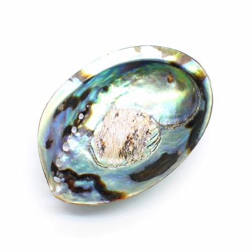 Decoración de Moda, Nácar de Abulón, pulido, Bricolaje, más colores para la opción, shell size 12-13.5*9-10cm, Vendido por UD