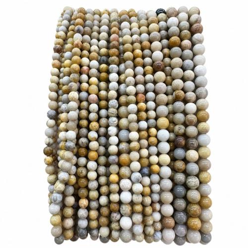 Grânulos de gemstone jóias, Pedra crisântemo natural, Roda, DIY & tamanho diferente para a escolha, vendido para Aprox 38 cm Strand