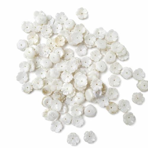الخرز شل الأبيض الطبيعي, زهرة, ديي, 10x3mm, حفرة:تقريبا 1mm, تباع بواسطة PC