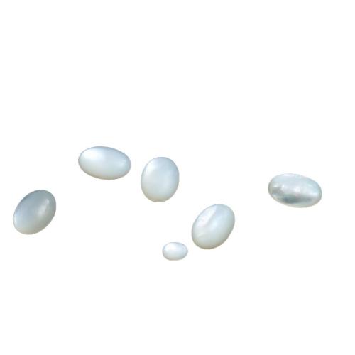 Shell-Cabochons, bianco conchiglia, Ovale piatto, lucido, DIY & formato differente per scelta, Venduto da PC
