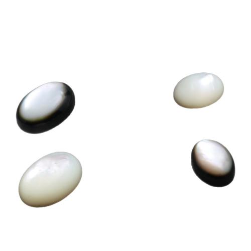 Shell flat back cabochon Oval mirror polish DIY Sold By PC