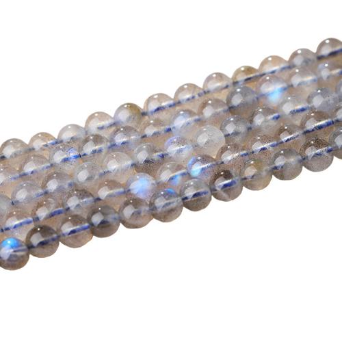 Perline in pietra di luna, Moonstone, Cerchio, lucido, DIY & formato differente per scelta, grigio, Venduto da filo