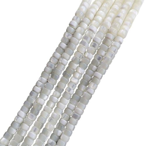 Grânulos do escudo de água doce natural, Início Shell, DIY & tamanho diferente para a escolha, vendido para Aprox 38 cm Strand