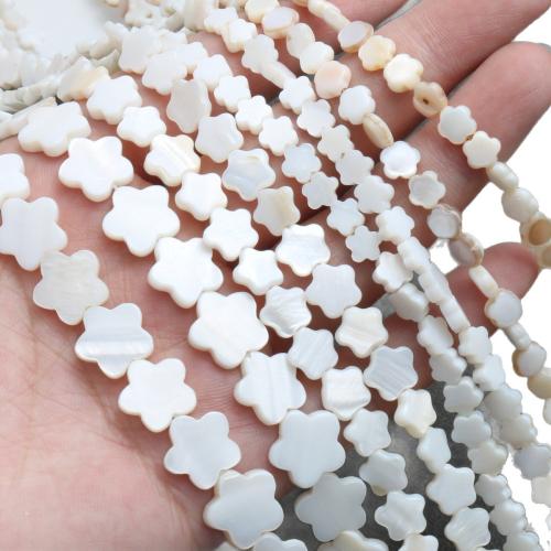 Perles en coquillage blanc naturel, coquille blanche, Fleur de prunier, DIY & normes différentes pour le choix, Vendu par Environ 38 cm brin
