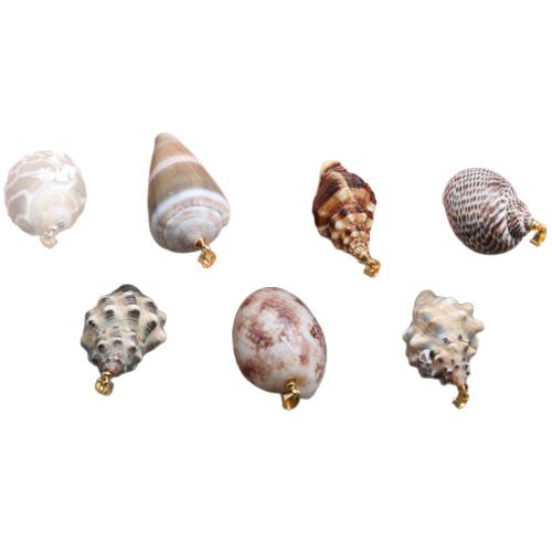 Trompette naturelle Shell pendentifs, coquille de trompette, DIY & styles différents pour le choix, Vendu par PC
