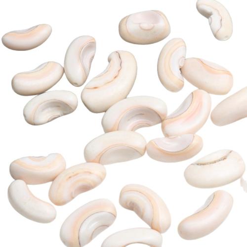 Trompette naturelle Shell pendentifs, coquille, DIY, blanc, size 7-18mm, Environ 300PC/lot, 500sol/lot, Vendu par lot