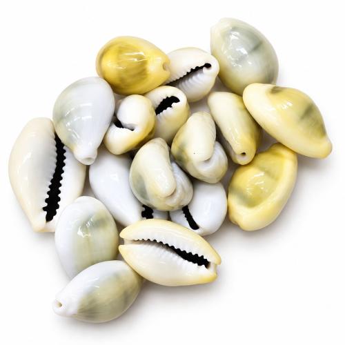 Természetes Édesvízi Shell gyöngyök, Héj, DIY, size 20-30mm, Által értékesített KG